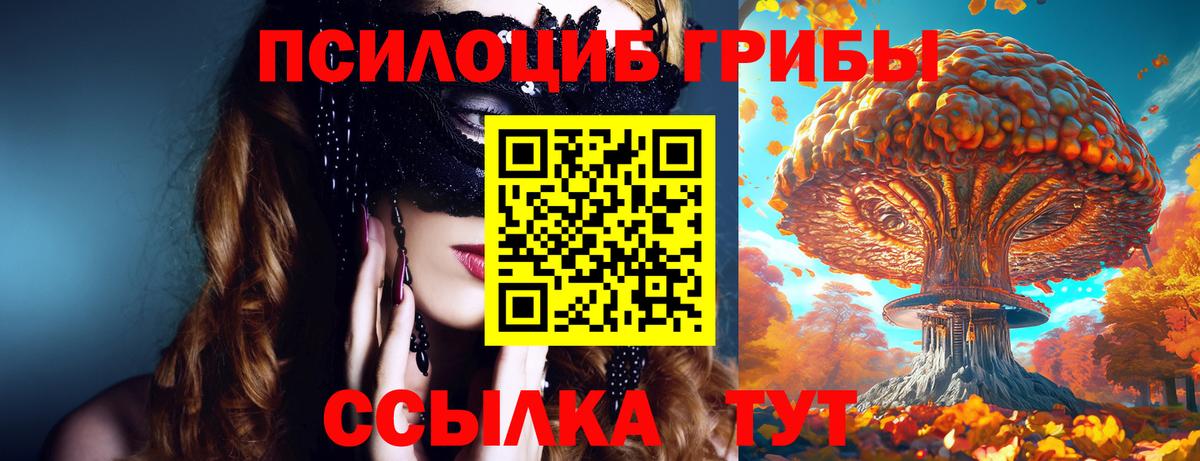 Анжеро-Судженск  Псилоцибиновые грибы Psilocybine cubensis  Вход с VPN 