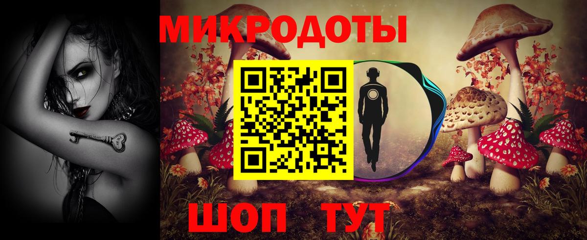 Галлюциногенные грибы мухоморы Анжеро-Судженск